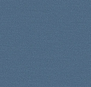 Andrea Rossi Галлинара (Gallinara) 54308-6 для кухни для спальни для гостиной для коридора для кабинета для загородного дома для комнаты для прихожей синий