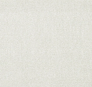 Andrea Rossi Spectrum MAX 54361-6 для кухни для спальни для гостиной для коридора для кабинета для загородного дома для комнаты для прихожей серый светло-серый