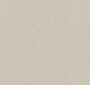 Rasch Berlin Rasch 530292 для кухни для спальни для гостиной для коридора для кабинета для загородного дома для комнаты для прихожей бежевый