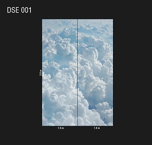 Loymina Иллюзия (Illusion vol.1) DSE 001