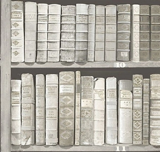 Paper Partnership University of Oxford Archives II WP0091401 для кабинета для загородного дома для комнаты светло-серый