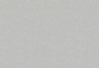 Обои виниловые на флизелиновой основе