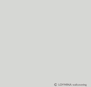 Loymina Прекрасная эпоха (La Belle Epoque) BQ7 001 для спальни для гостиной для кабинета для загородного дома для комнаты для прихожей серый светло-серый
