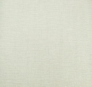Erismann Jacklin 60111-04 для кухни для спальни для гостиной для коридора для кабинета для загородного дома для комнаты для прихожей серый светло-серый