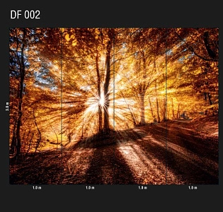 Loymina Иллюзия (Illusion vol.1) DF 002