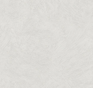 A.S. Creation Sylvana 8921-19 для кухни для спальни для гостиной для коридора для кабинета для загородного дома для комнаты для прихожей серый светло-серый