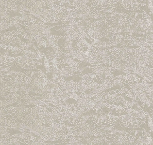Emiliana Parati Roberto Cavalli Home 8 RC19038 для кухни для спальни для гостиной для кабинета для загородного дома для комнаты бежевый светло-серый