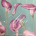 Alba