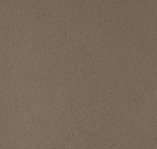 Bernardo Bartalucci Legend 5068-27 для спальни для гостиной для кабинета для загородного дома для комнаты для прихожей капучино