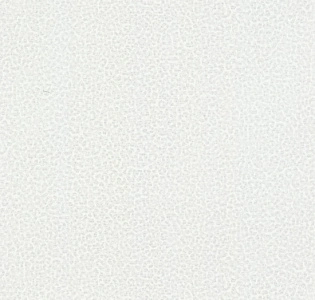 Emiliana Parati Roberto Cavalli Home 8 RC19020 для кухни для спальни для гостиной для кабинета для загородного дома для комнаты белый