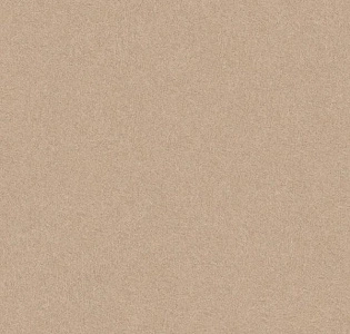 A.S. Creation California 36391-5 для кухни для спальни для гостиной для коридора для кабинета для загородного дома для комнаты для прихожей коричневый