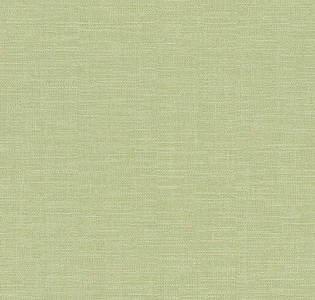 Rasch Kalahari 700466 для кухни для спальни для гостиной для коридора для кабинета для загородного дома для комнаты для прихожей фисташковый