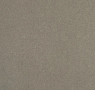 Bernardo Bartalucci Legend 5068-6 для спальни для гостиной для кабинета для загородного дома для комнаты для прихожей светло-серый
