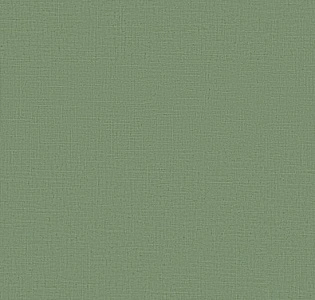 Erismann Casual Chic ER12143-07 для кухни для спальни для гостиной для коридора для кабинета для загородного дома для комнаты для прихожей зеленый