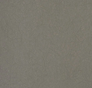 Bernardo Bartalucci Legend 5068-8 для спальни для гостиной для кабинета для загородного дома для комнаты для прихожей серый