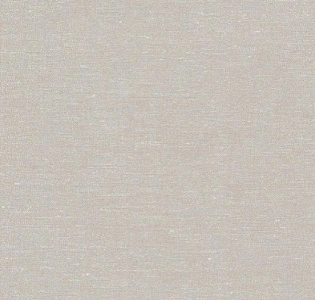 BN International Bazar 219437 для кухни для спальни для гостиной для коридора для кабинета для загородного дома для комнаты для прихожей бежевый