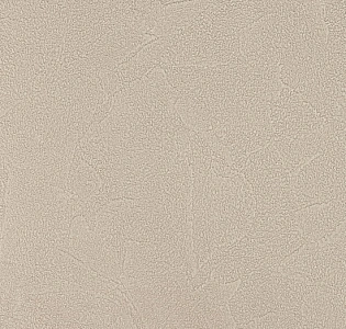 Andrea Rossi Spectrum Plus 54351-18 для кухни для коридора для кабинета для загородного дома для комнаты для прихожей серый