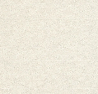 Rasch Excellent 554311 для кухни для гостиной для кабинета для комнаты для прихожей белый