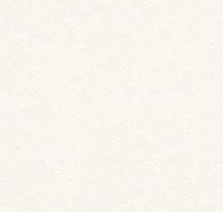 Rasch Bauhaus (под покраску) 343205 для спальни для гостиной для кабинета для загородного дома для комнаты для прихожей