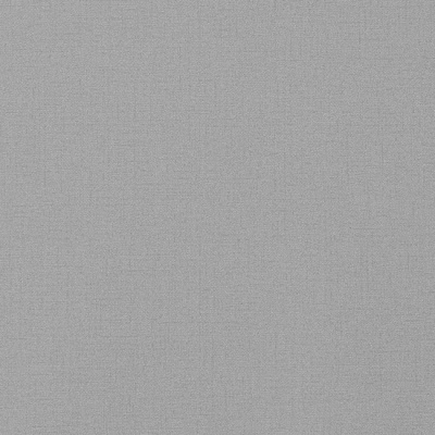 54379-7 Обои виниловые на флизелиновой основе