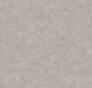 Caselio Beton 2 BTO101481795 для кухни для спальни для гостиной для коридора для кабинета для загородного дома для комнаты для прихожей серый светло-серый