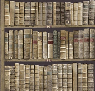 Paper Partnership University of Oxford Archives II IWB00847 для кабинета для загородного дома для комнаты коричневый