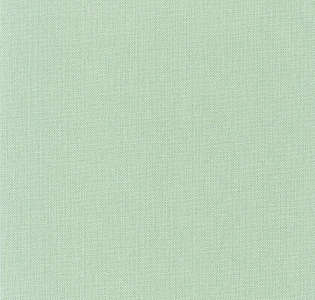 Caselio Natte NAE101567001 для кухни для спальни для гостиной для коридора для кабинета для загородного дома для комнаты для прихожей зеленый