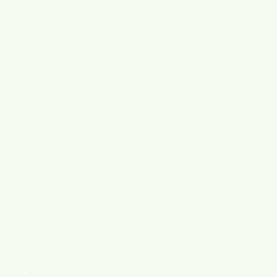 Обои виниловые на флизелиновой основе