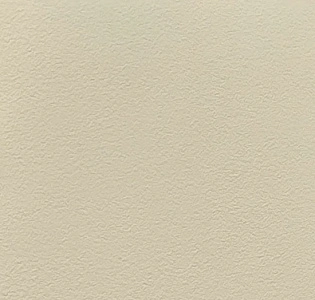 Alessandro Allori Bodega Grand R95014-5 для кухни для спальни для гостиной для коридора для кабинета для загородного дома для комнаты для прихожей кремовый