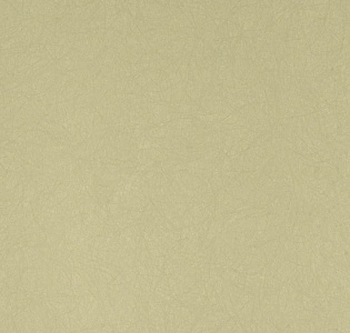 Bernardo Bartalucci Legend 5068-44 для спальни для гостиной для кабинета для загородного дома для комнаты для прихожей фисташковый