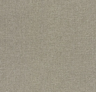 Decori&Decori Zen 72919 для кухни для спальни для гостиной для коридора для кабинета для загородного дома для комнаты для прихожей серый светло-серый