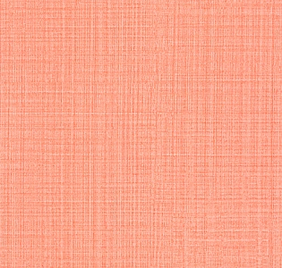 Grandeco Jack`n Rose Junior JR1004 для детской оранжевый