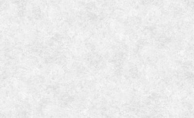 Обои виниловые на флизелиновой основе