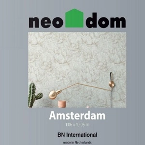Amsterdam Neodom
