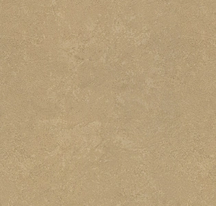 Rasch Metal Spirit 977165 для кухни для спальни для гостиной для коридора для кабинета для загородного дома для комнаты для прихожей золотой