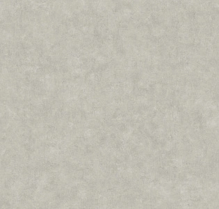 Caselio Beton 2 BTO101499267 для кухни для спальни для гостиной для коридора для кабинета для загородного дома для комнаты для прихожей серый светло-серый