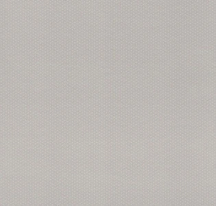 Rasch Textil Petite Fleur 4 288925 для спальни для гостиной для загородного дома для комнаты серый