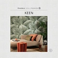 Кин (Keen)