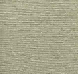 Andrea Rossi Berggi 54452-8 для кухни для спальни для гостиной для коридора для кабинета для загородного дома для комнаты для прихожей зеленый мятный