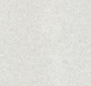 Emiliana Parati Материка 1 (Materica 1) 73161 для кухни для спальни для гостиной для коридора для кабинета для загородного дома для комнаты для прихожей белый светло-серый