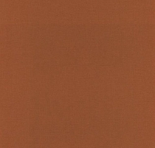 Rasch Most Fabulous 531374 для кухни для спальни для гостиной для коридора для кабинета для загородного дома для комнаты для прихожей терракотовый
