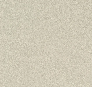 Andrea Rossi Spectrum Plus 54351-12 для кухни для коридора для кабинета для загородного дома для комнаты для прихожей зеленый