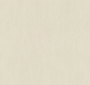 Rasch Allegretto 540826 для кухни для спальни для гостиной для коридора для кабинета для загородного дома для комнаты для прихожей бежевый