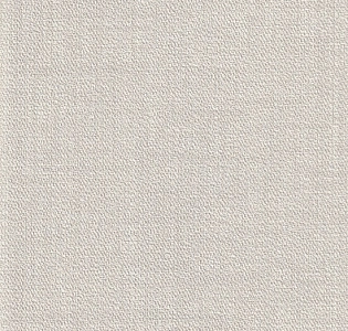 Som Project 32217-11 для кухни для спальни для гостиной для коридора для кабинета для загородного дома для комнаты для прихожей серый светло-серый