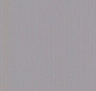 BN International Finesse 219760 для кухни для спальни для гостиной для коридора для кабинета для загородного дома для комнаты для прихожей серый