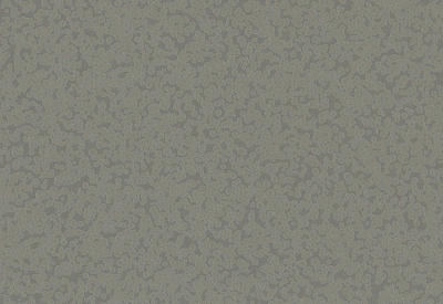 Обои виниловые на флизелиновой основе