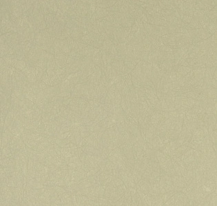 Bernardo Bartalucci Legend 5068-52 для спальни для гостиной для кабинета для загородного дома для комнаты для прихожей белый зеленый