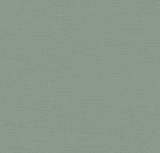 BN International Atelier BN 219510 для кухни для спальни для гостиной для коридора для кабинета для загородного дома для комнаты для прихожей зеленый