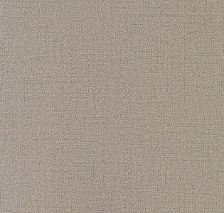 Andrea Rossi Spectrum Plus 54353-25 для кухни для спальни для гостиной для коридора для кабинета для загородного дома для комнаты для прихожей серый