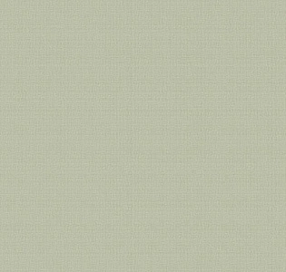 Aura Texture World H2991005 для кухни для спальни для гостиной для коридора для кабинета для загородного дома для комнаты для прихожей зеленый